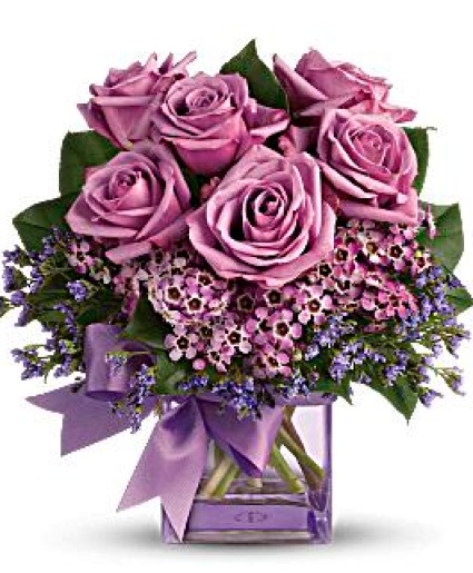 Lavender Dreams Roses