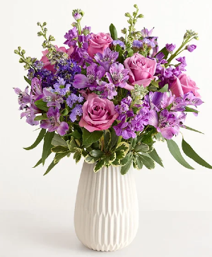 Lavender Expressions 194225 