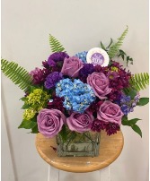 Lavender Love 