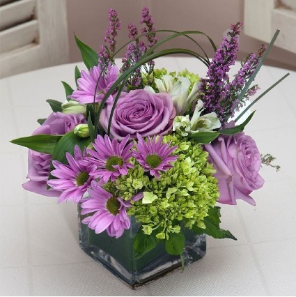 Lavender Passion special