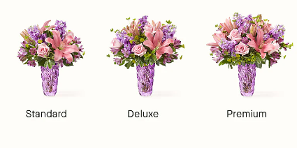 Precious Lavender  