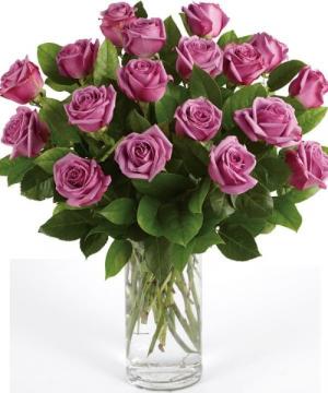 LAVENDER ROSES rose