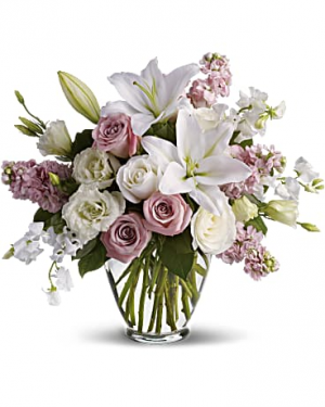 Lavender & White Mix 
