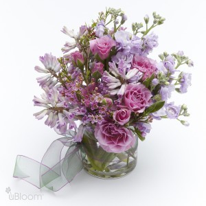 Lavender Wishes 