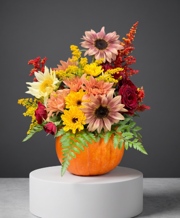 Lavish Pumpkin  in Newport, NH | PETAL PATCH