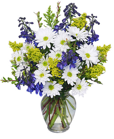 Lazy Daisy & Delphinium Just Because Flowers in Gainesville, FL | PRANGE'S FLORIST- Sara & Lilli V