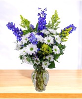 Curacao Daisies Vase Arrangement