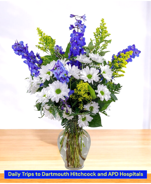 Curacao Daisies  Vase Arrangement