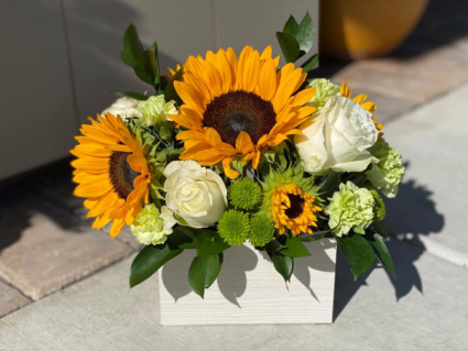 Le Fleur D Design 20 J Francis Collection