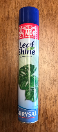 Leaf Shine  in Yankton, SD | Pied Piper Flowers & Gifts