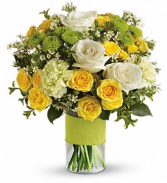 Lemon Lime Delight Arrangement