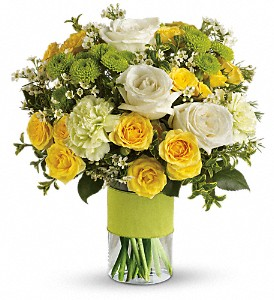 Lemon Lime Delight Arrangement