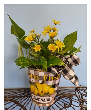 Lemonade Bucket 