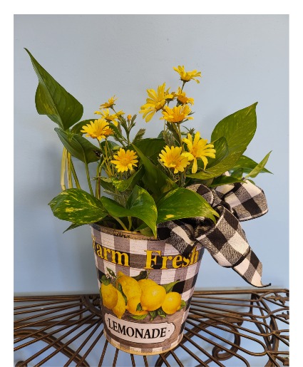 Lemonade Bucket 