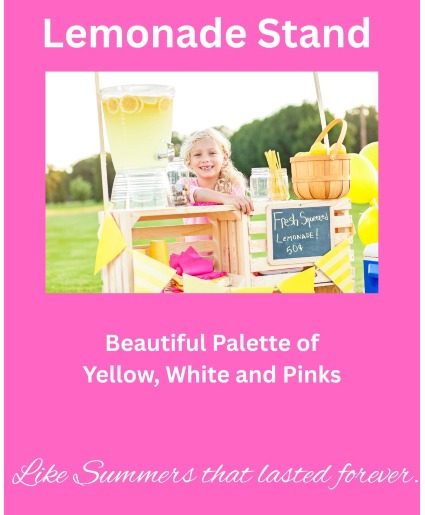 Lemonade Stand Designer Choice  