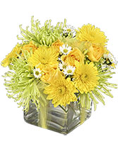 Lemon-Lime Zest Arrangement