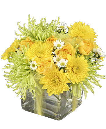 Lemon-Lime Zest Arrangement in Cary, NC | GCG FLOWER & PLANT DESIGN