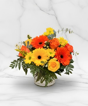 Citrus Harmony Powell Florist Exclusive