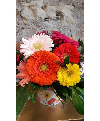 Lenore's Gerbera Extravaganza 