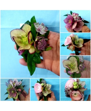 Lenten Rose (Hellebora) Corsage Prom