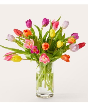 Let's Talk Tulips Bouquet V5794
