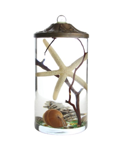 Lifetime Candle - Seashell Cylinder 
