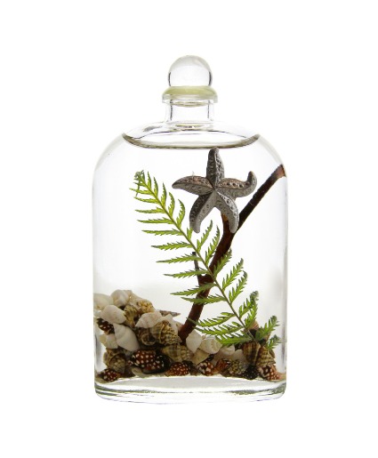 Lifetime Candle - Seashell Oval 