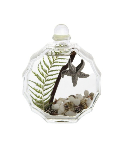 Lifetime Candle - Seashell Sunburst 