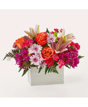 Light of My Life Box Bouquet ALL OCCASION