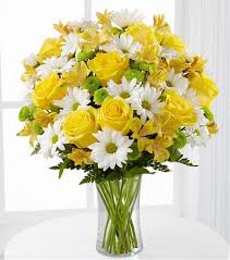 Light Up My Life Anniversary