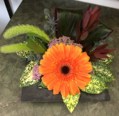 Lil' Cutie Dish Arrangement