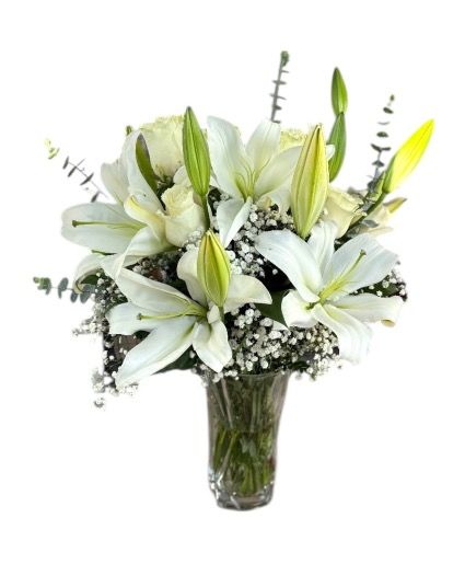  Lilies blancas 