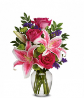 Lilly in Pink Just Because