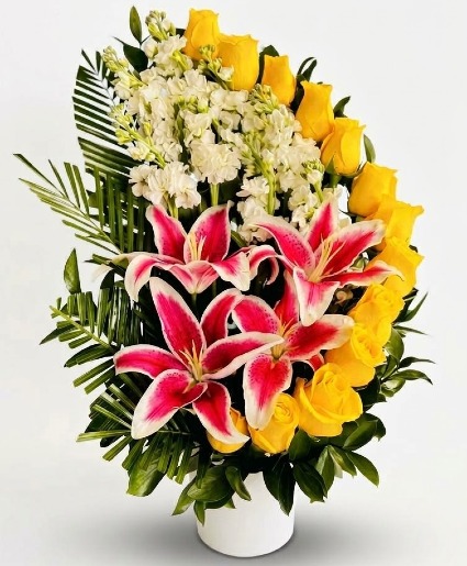 Lily Cascade 