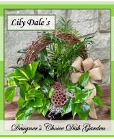 A Lily Dale Custom Dish Garden Designer's Choice