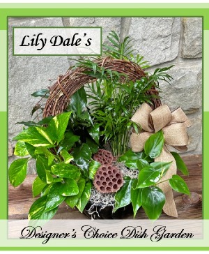 A Lily Dale Custom Dish Garden Designer's Choice
