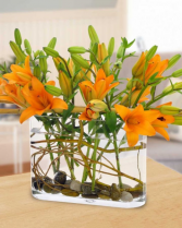 Lily Harvest Arrangement