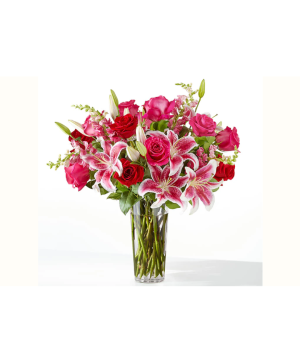 Lily Jubilee 