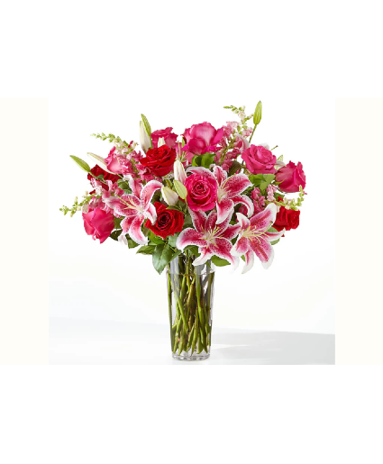Lily Jubilee 