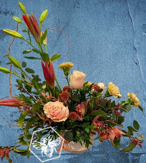 Lily Rose Orchid Medley Designers Choice