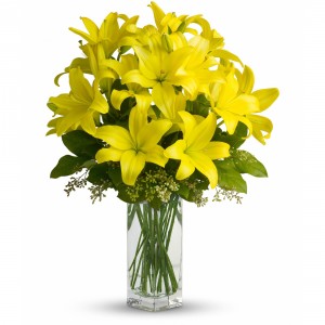 Lily Sunshine 