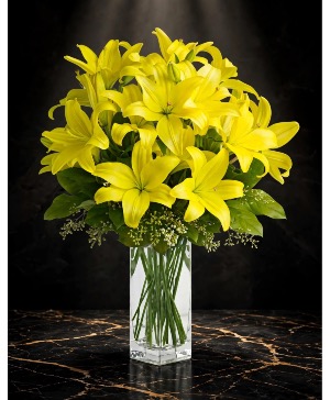 Lily Sunshine 