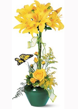 Lily Topiary Approx  20" H Color May Vary
