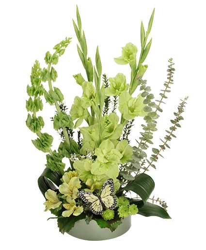 LIME TWIST Arrangement