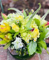 Limoncello Clear Bubble Bowl
