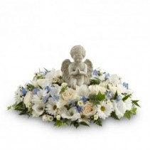 Little Angel Arrangement  