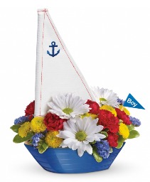 Little Dreamboat Arrangement  