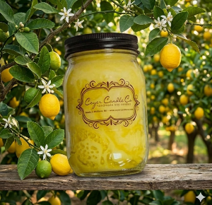 Little Lemon Tree Coyer Candle Co.