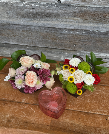 “Little Love”  Floral Arrangement in Key West, FL | Petals & Vines