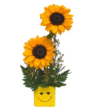 Little Miss Sunshine 